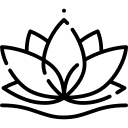 lotus design